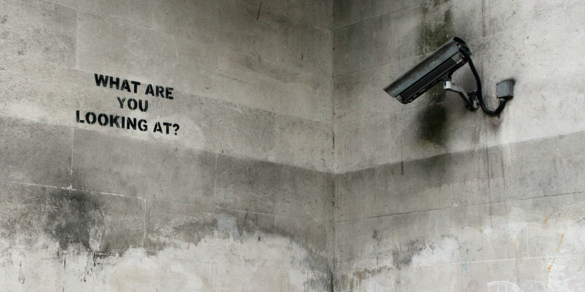 The Power of Observation: Surveillance and Sousveillance