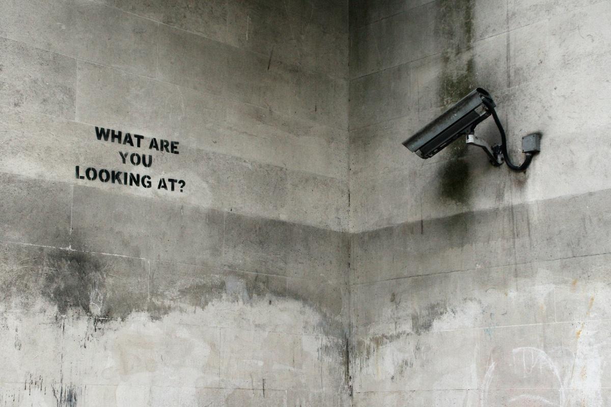 The Power of Observation: Surveillance and Sousveillance